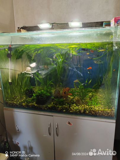 Продам аквариум