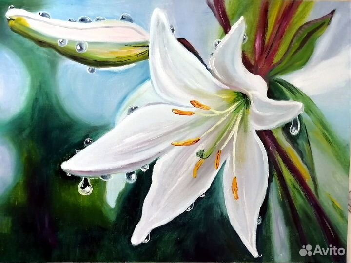 Белая лилия. Картина маслом 40 х 30 см