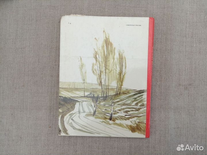 Сергей Васильев. Красный галстук. Худ. Е. Шукаева