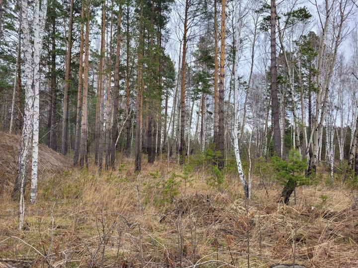 Участок 10 сот. (ИЖС)