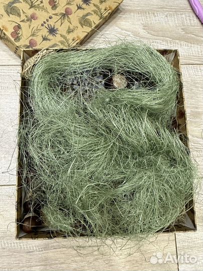 Природный материал для поделок набор