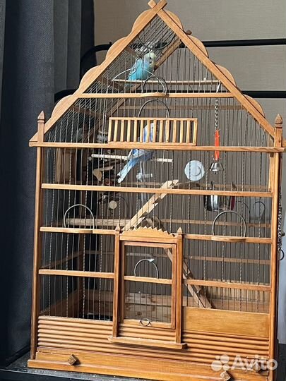 Волнистые попугаи с клеткой