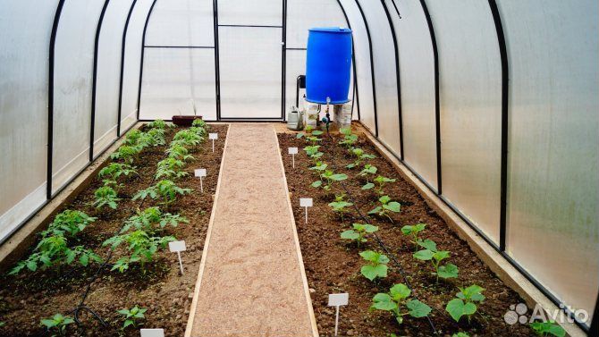 Капельный полив в Перми