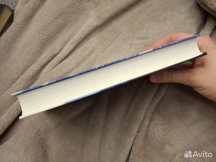 Дэвид Митчелл - Лужок чёрного лебедя