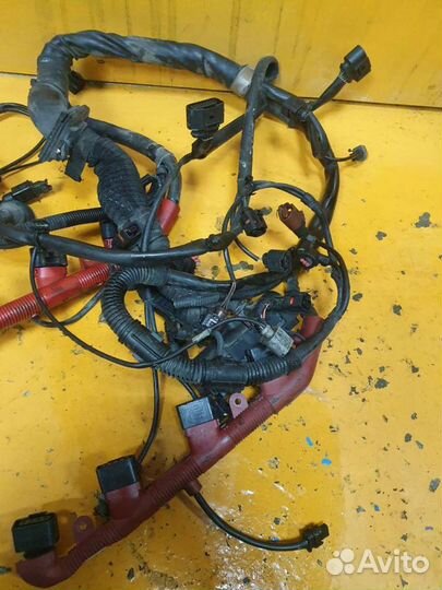 Проводка коса подкапотная 4.2 BVJ Audi A8