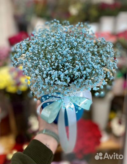 Цветы, Розы, хризантемы, Доставка, Гипсофила