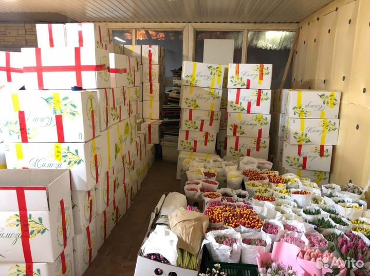 Свежие веточки мимоза