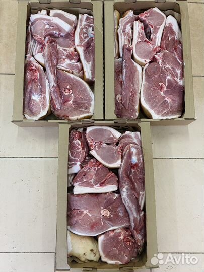 Свежая свинина