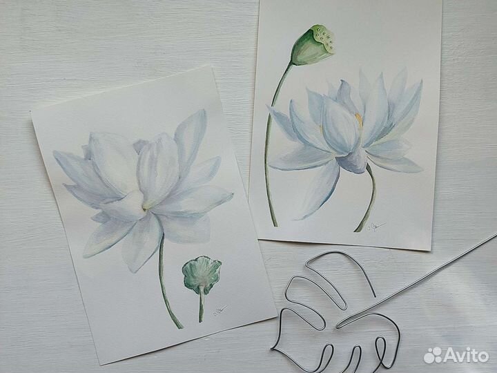 Акварельная картина белый лотос, А4