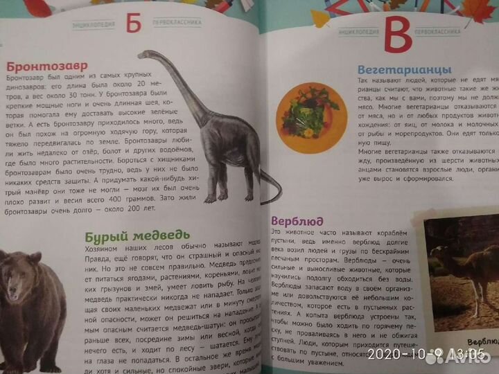 Энциклопедия детская, книга для детей