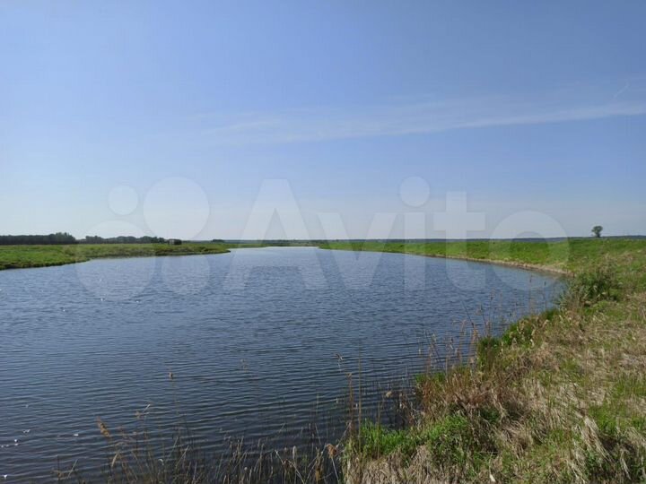 Участок 6,2 га (ИЖС)