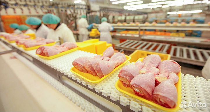 Разнорабочие на пищ производство с ежедневной опл