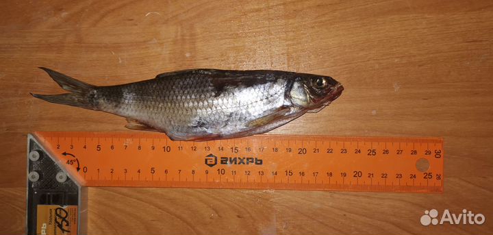 Чебак вяленый