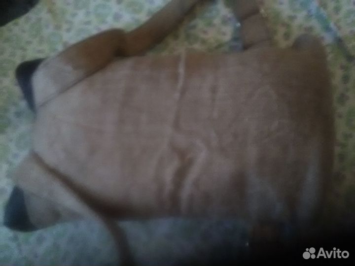 Рюкзак походный