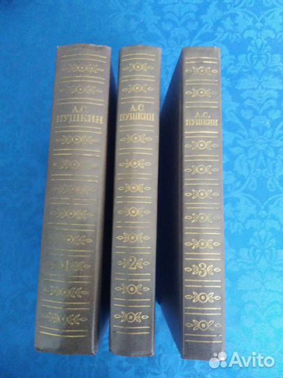 Книги Высотского, Лермонтова, Пушкин