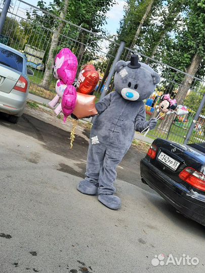 Мишка Тедди поздравление аниматор / курьер