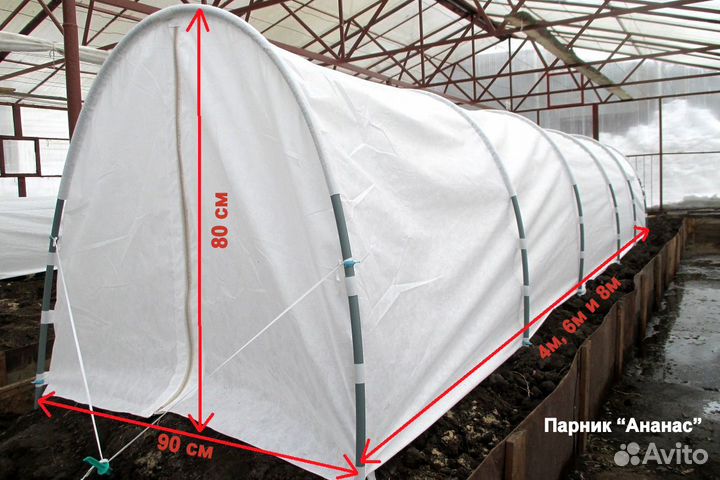 Парник Ананас и Ананас-Арктик