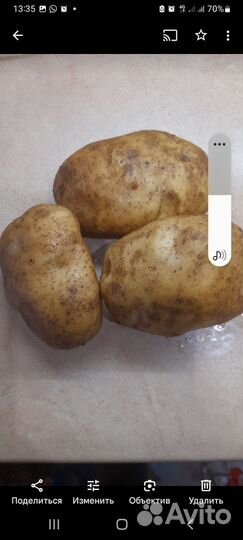 Семенной картофель Сынок