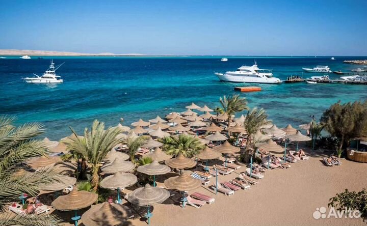 В Египет 6 н от. 4* все вкл