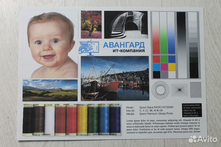 Принтер с снпч Epson L300 (заправлен)