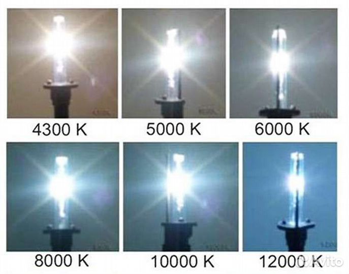 Лампы ксенона d1s