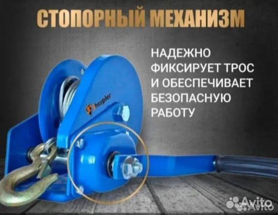 Лебеда барабанная