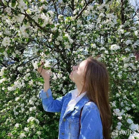 Репетитор по истории и обществознанию