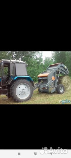 Продам сено в рулонах