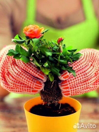 Грунт для розы 5 л