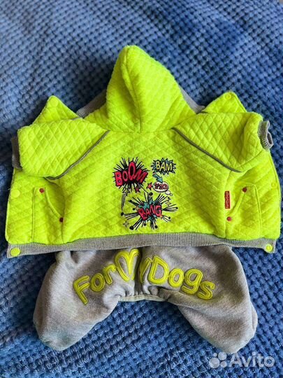 Одежда для маленьких собак