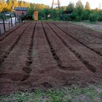 Пашем землю мотоблоком.Вспашем землю Вспашка земли, Владимир