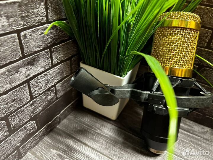 Микрофон bm800