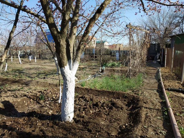 Участок 6 сот. (СНТ, ДНП)