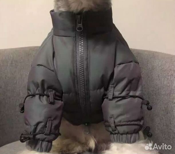 Новая зимняя куртка для маленькой собаки