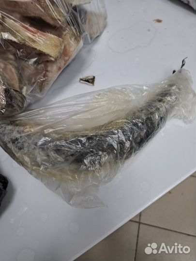 Рыба для животных