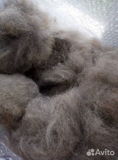 Продам собачью шерсть