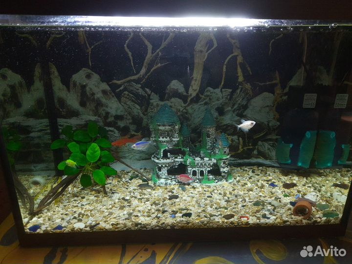 Аквариум 75л с рыбками и всем оборудованием