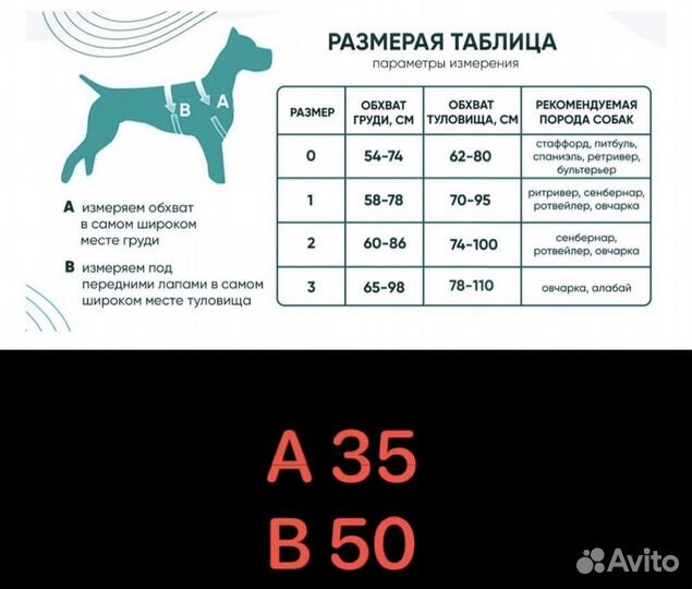 Кожаная шлейка для средней собаки