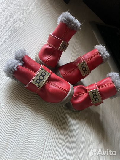 Обувь для собак мелких пород