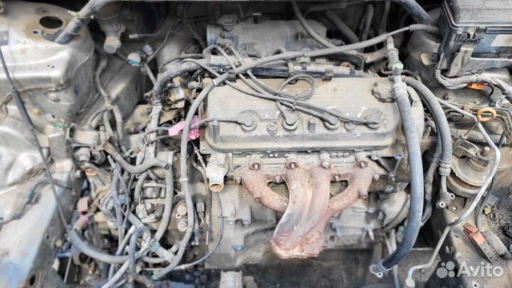 Запчасти на honda odyssey RA6 RA7, двигатель, АКПП