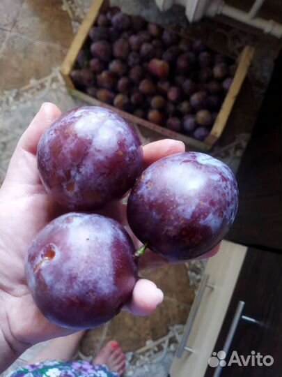 Продаю варенье