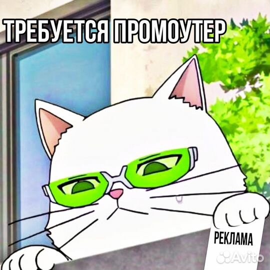 Промоутер почтальон