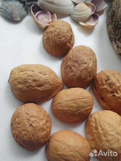 Природные материалы для поделок в сад