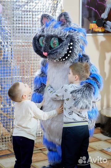 Экспресс поздравление от аниматора Чеширского кота