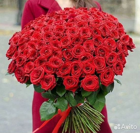 Высокие розы Гигантские розы с доставкой