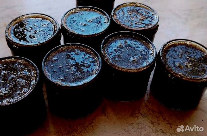 Природный стимулятор мужской энергии