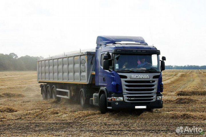 Грузоперевозки: тонары (самосвалы),зерновозы,сельх