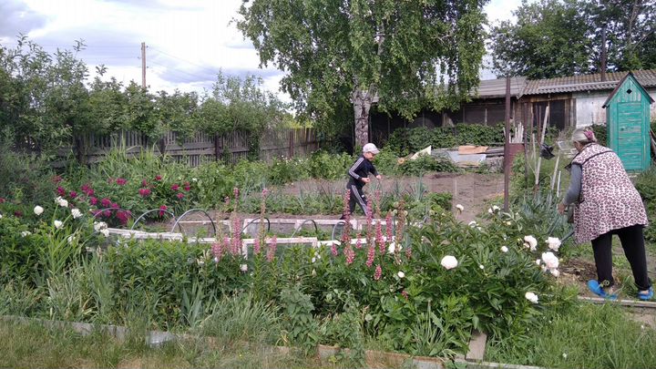Участок 6 сот. (СНТ, ДНП)