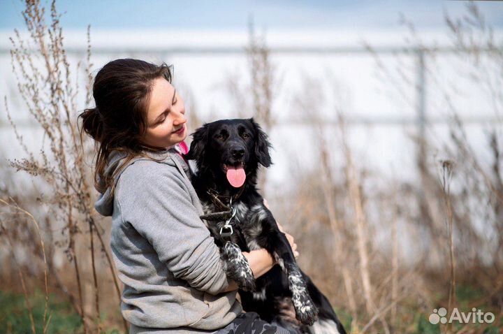 Маленькая собака Джина ищет дом