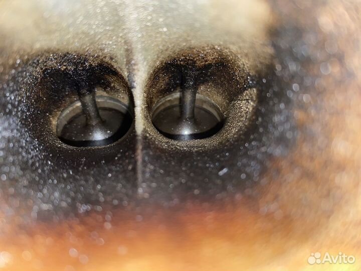 Двигатель Ford Focus 2 2.0 145 л.с. (aoda)